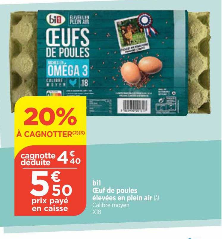 bi1 oeuf de poules élevées en plein air