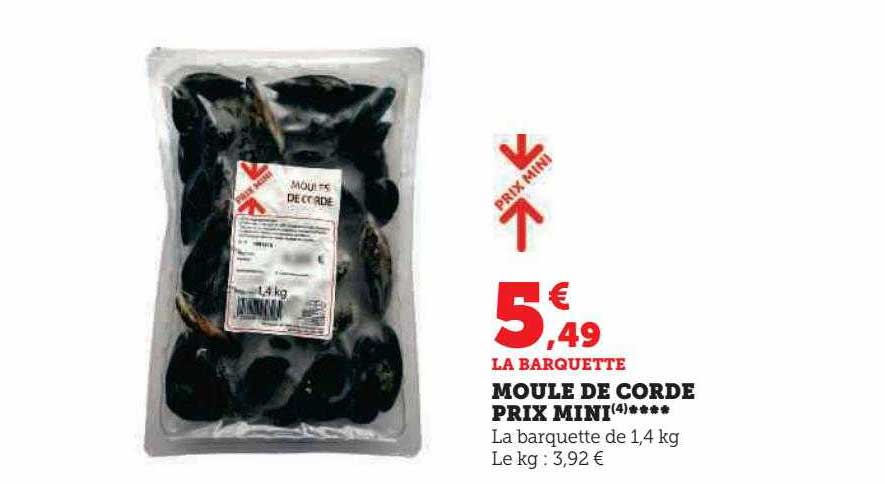 moule de corde prix mini