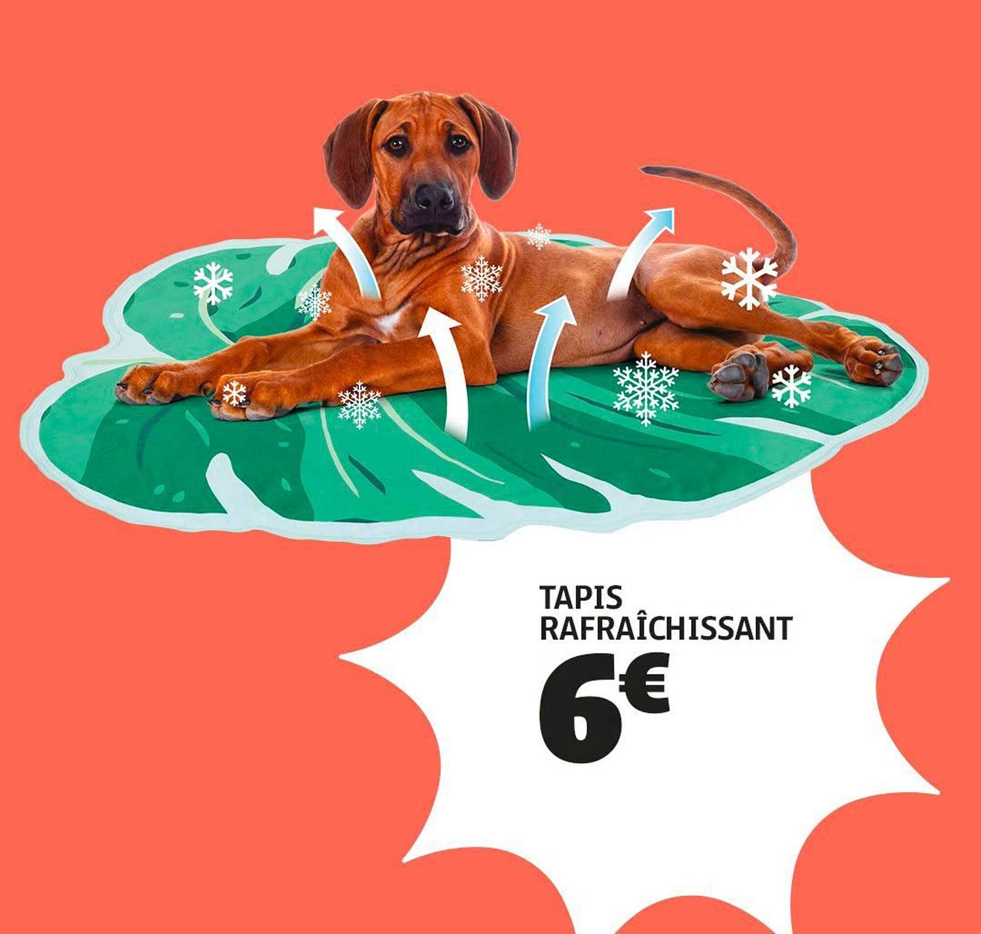TAPIS RAFRAÎCHISSANT