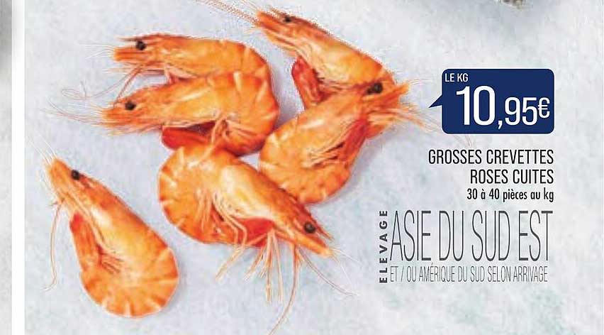 grosses crevettes roses cuites