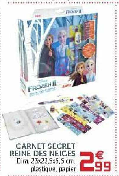 carnet secret reine des neiges