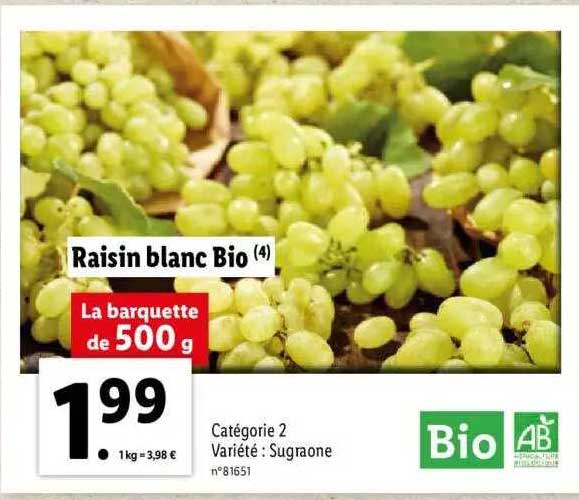 Raisin Blanc Bio