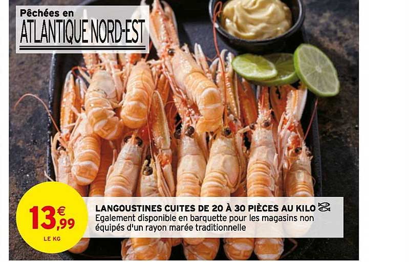 langoustines cuites de 20 à 30 pièces au kilo