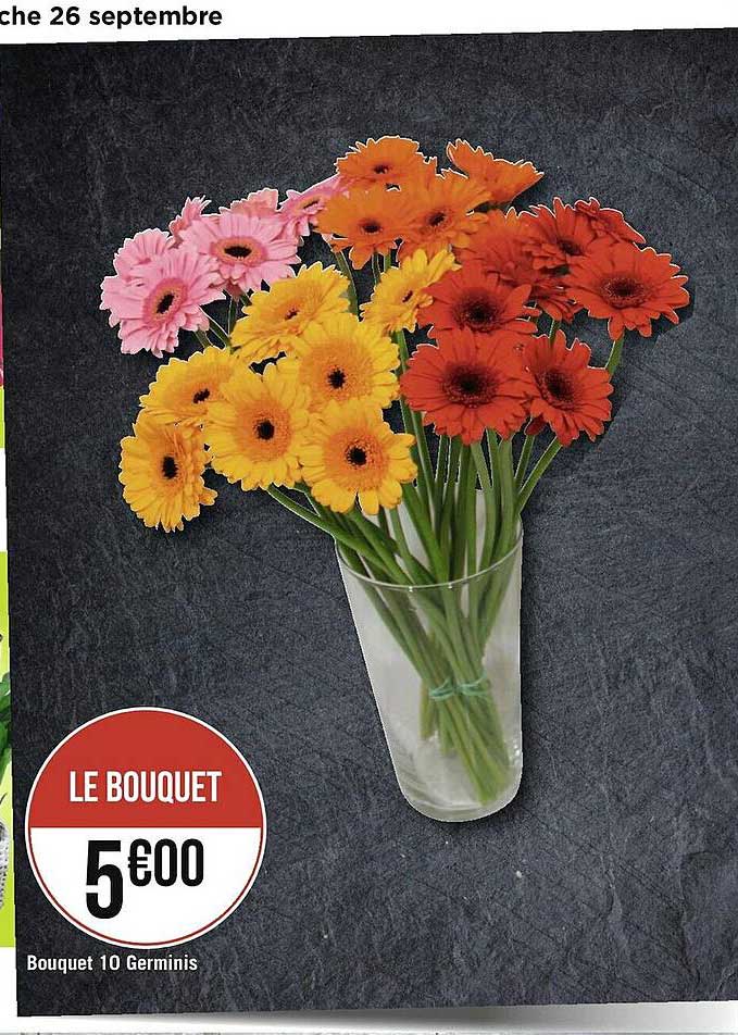 bouquet 10 germinis