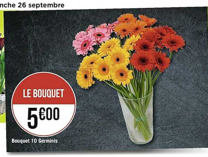 bouquet 10 germinis