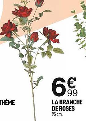 La Branche De Roses
