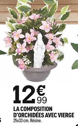 la composition d'orchidées avec vierge