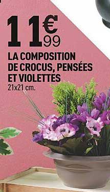 La Composition De Crocus, Pensées Et Violettes