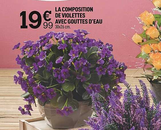 la composition de violettes avec gouttes d'eau