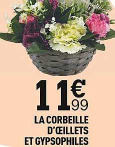 la corbeille d'oeillets et gypsophiles
