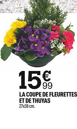 La Coupe De Fleurettes Et De Thuyas