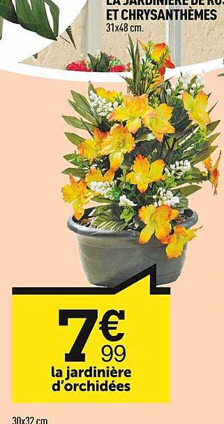 la jardinière d'orchidées