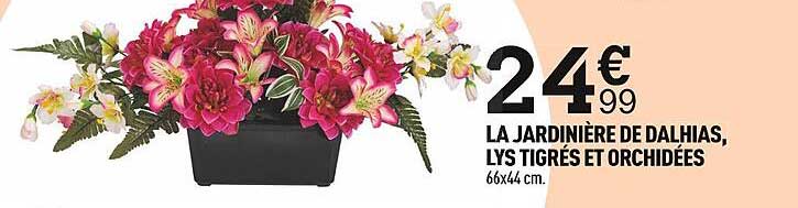 La Jardinière De Dalhias, Lys Tigrés Et Orchidées