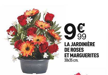 La Jardinière De Roses Et Marguerites