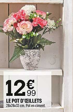 le pot d'oeillets