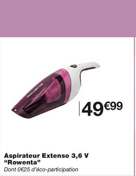 aspirateur extenso 3.6 v rowenta