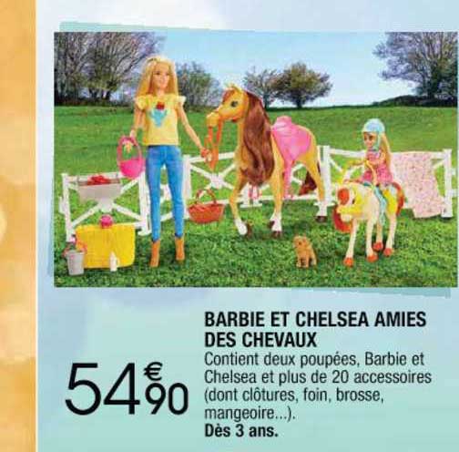 barbie et chelsea amies des cheaux