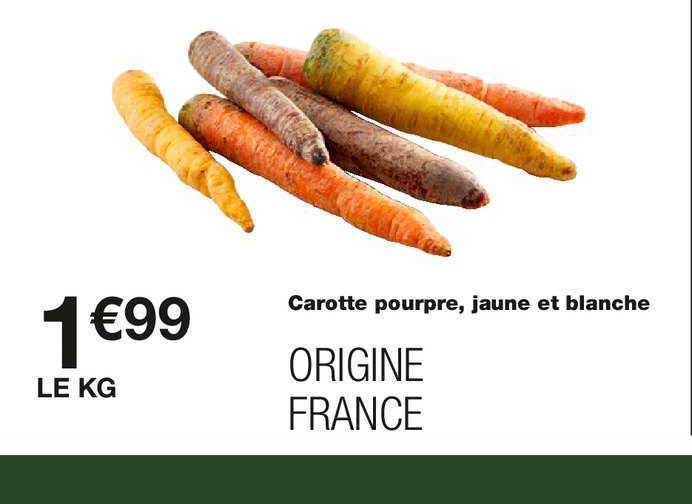 carotte pourpre jaune et blanche
