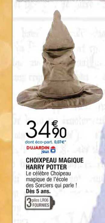 Dujardin Choixpeau Magique Harry Potter