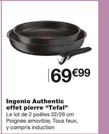 Ingenio Authentic Effet Pierre Tefal