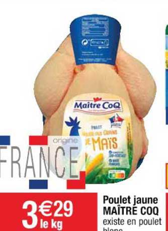 Poulet Jaune Maître Coq