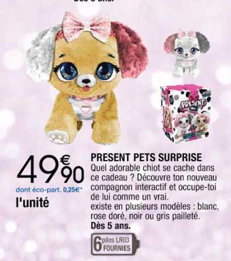 present pets surprise