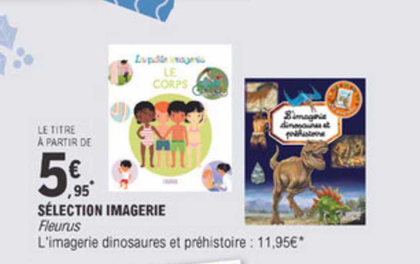 Sélection Imagerie Fleurus