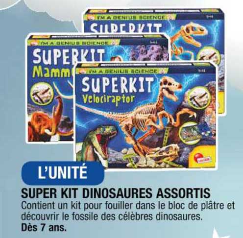 Super Kit Dinosaures Assortis