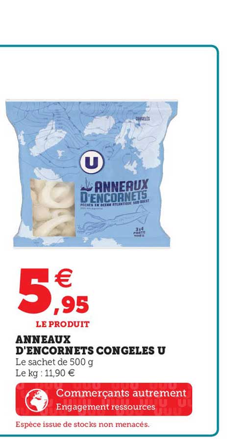 Anneaux D'encornets Congelés U