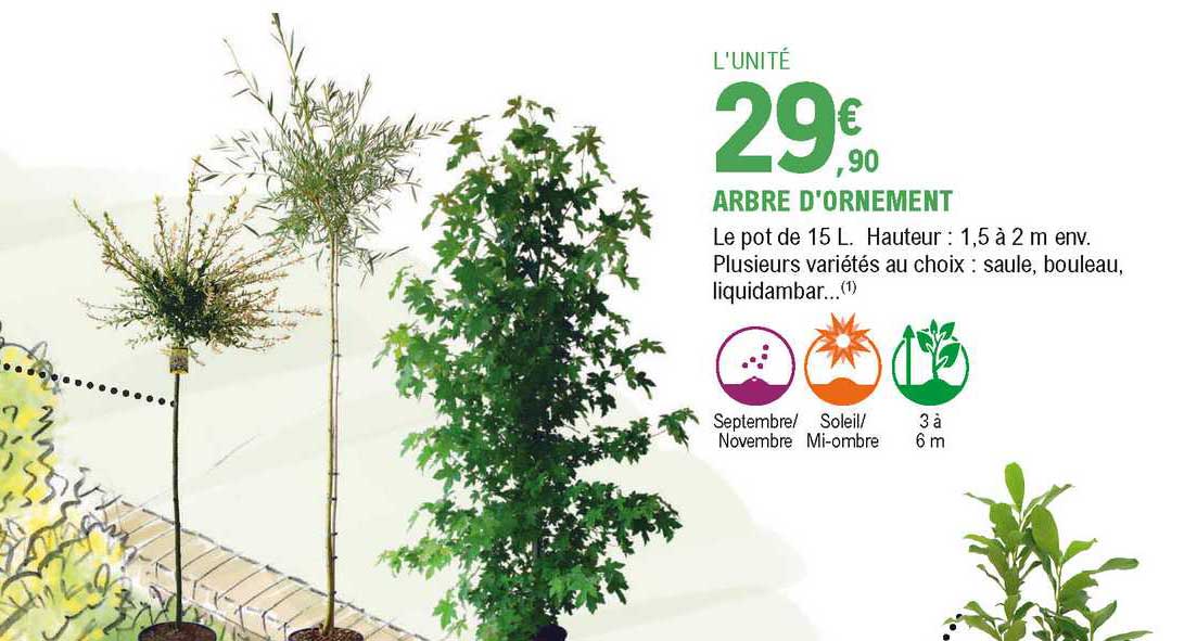 arbre d'ornement