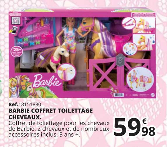 barbie coffret toilettage cheveaux