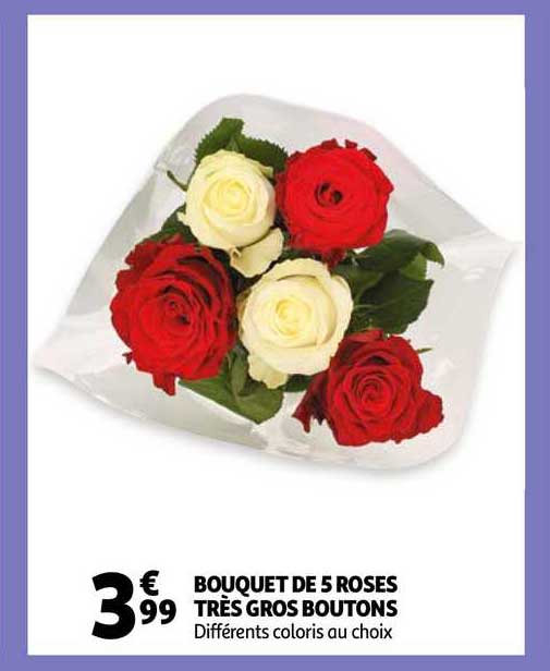 Bouquet De 5 Roses Très Gros Boutons