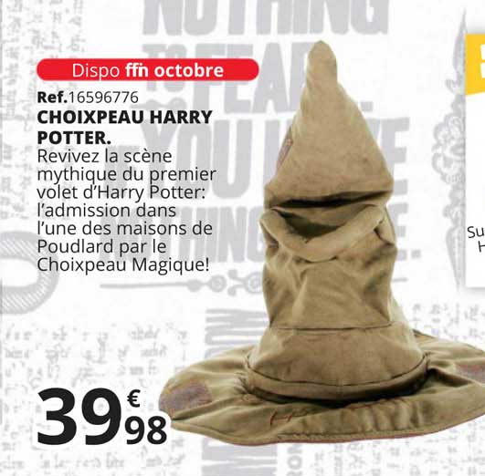 choixpeau harry potter