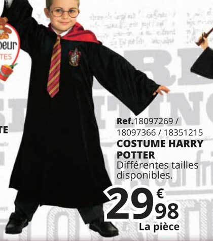 costume harry potter