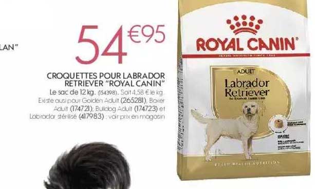 croquettes pour labrador retriever "royal canin"
