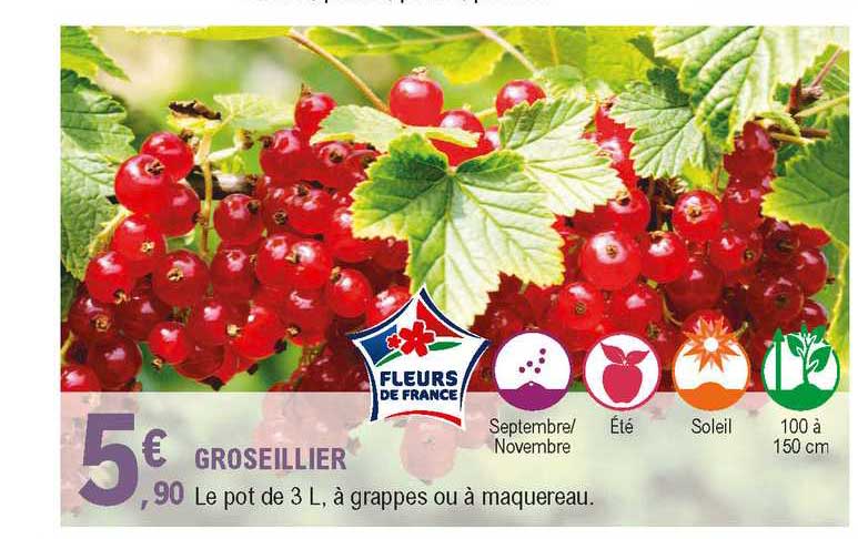 groseillier
