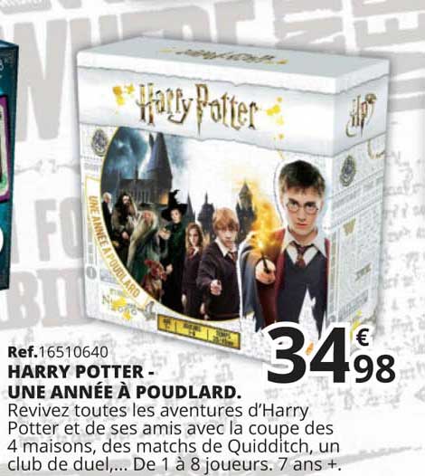 harry potter - une année à poudlard