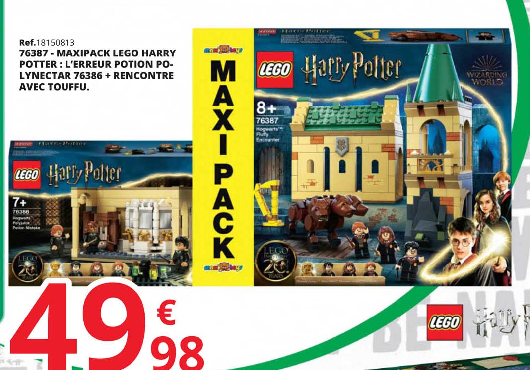 maxipack lego harry potter : l'erreur potion polynectar 76386 + rencontre avec touffu