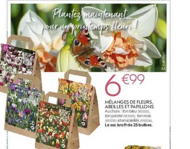 Mélanges De Fleurs, Abeilles Et Papillons