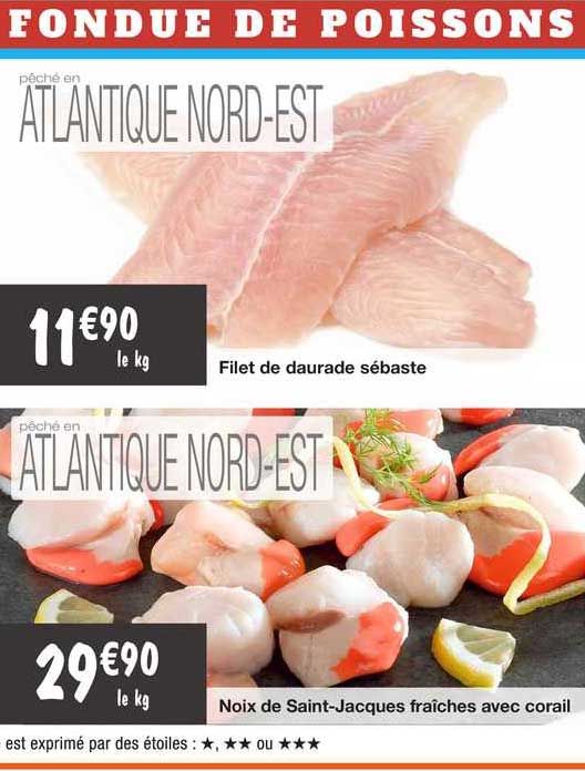 noix de saint-jacques fraîches avec corail