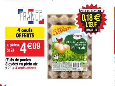 oeufs de poules élevées en plein air