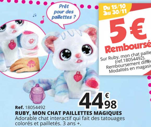 ruby, mon chat paillettés magiques