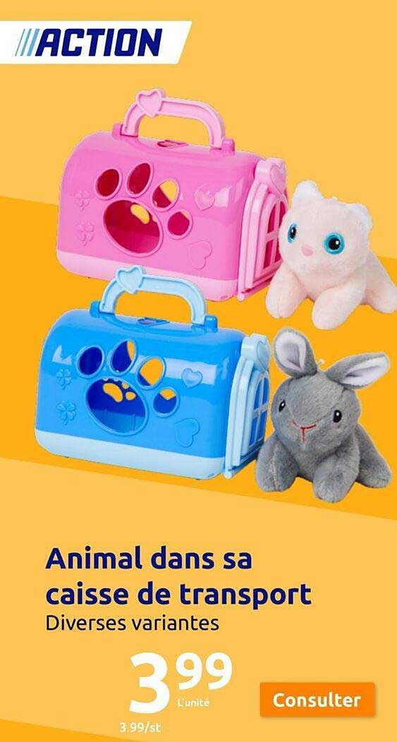 animal dans sa caisse de transport