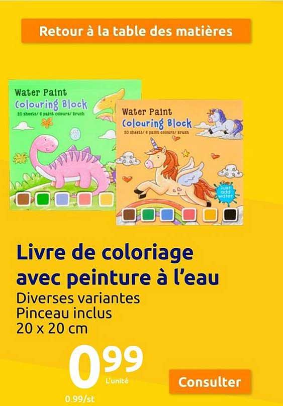 livre de coloriage avec peinture à l'eau