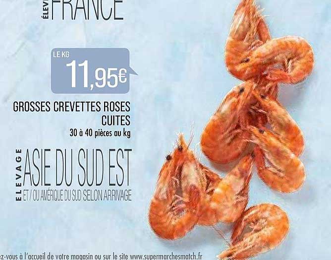 grosses crevettes roses cuites