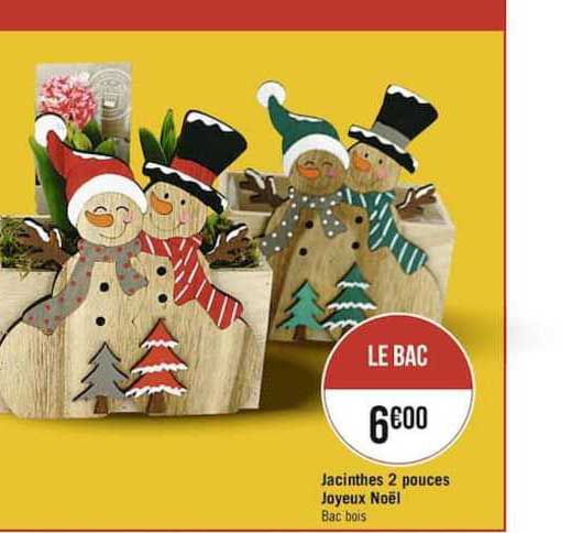 jacinthes 2 pouces joyeux noël