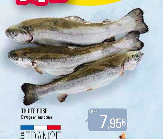 Truite Rose