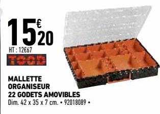 Mallette Organiseur 22 Godts Amovibles Tood