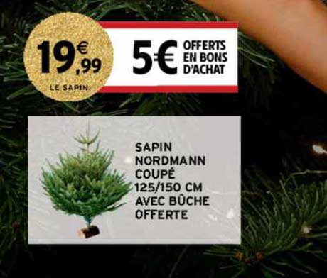 sapin nordmann coupé 125 150 cm avec bûche offerte