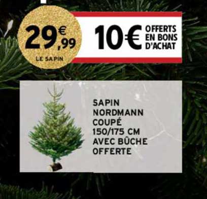 sapin nordmann coupé 150 175 cm avec bûche offerte